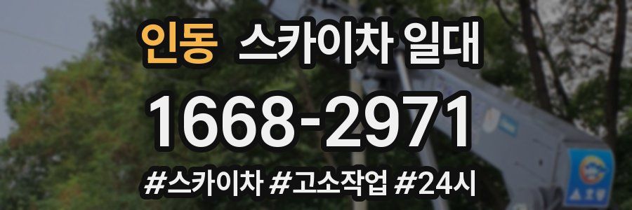 인동 스카이차 일대