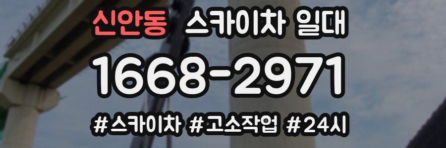 신안동 스카이차 일대