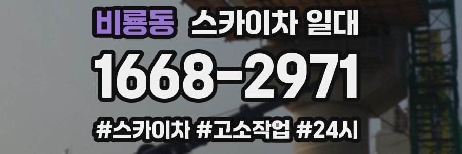 비룡동 스카이차 일대
