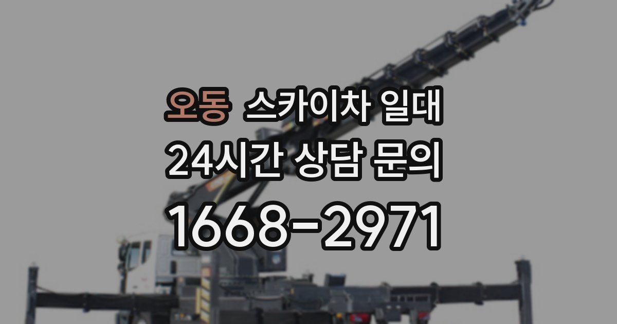 오동 스카이차 일대