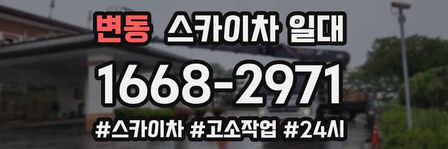 변동 스카이차 일대