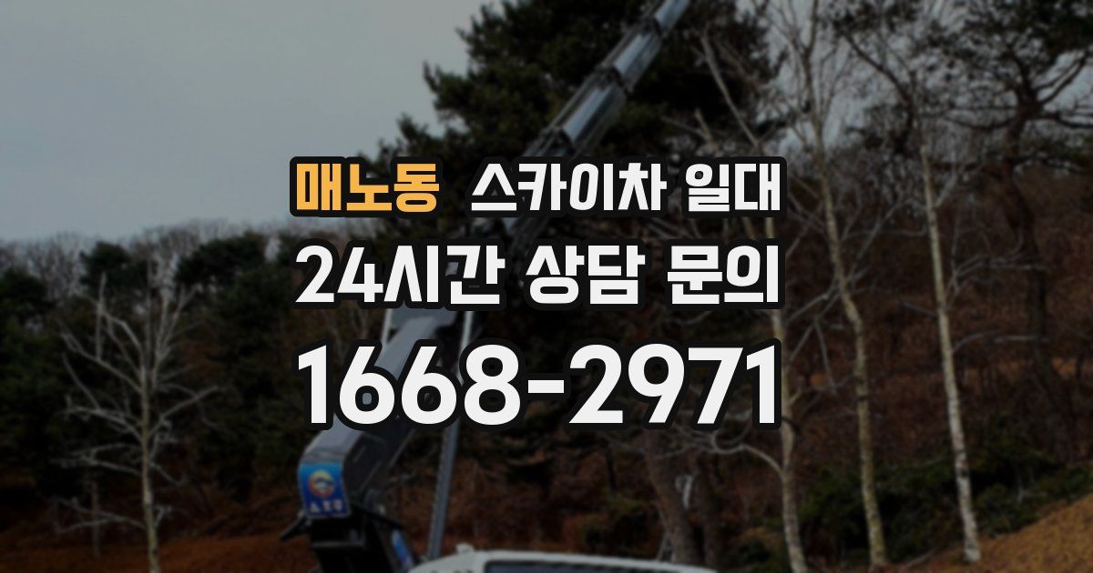 매노동 스카이차 일대