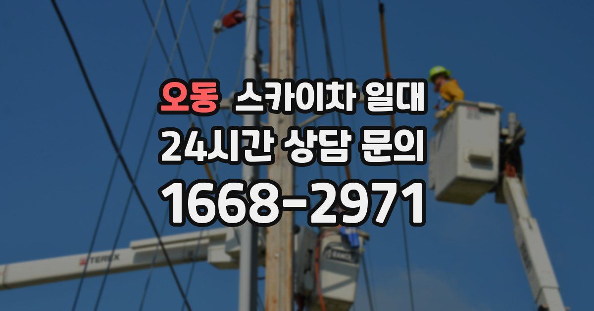 오동 스카이차 일대