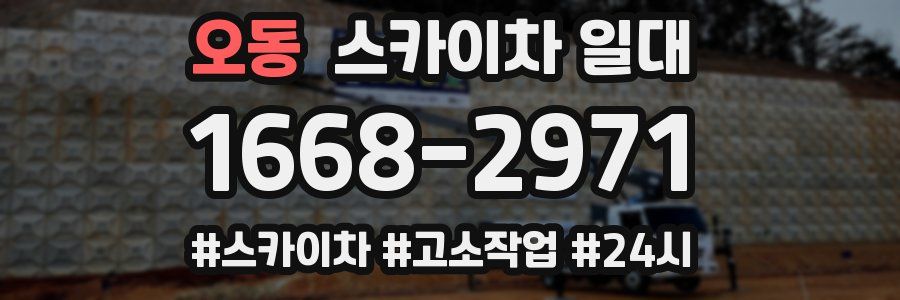 오동 스카이차 일대