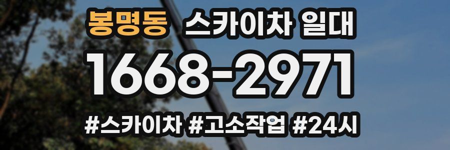 봉명동 스카이차 일대