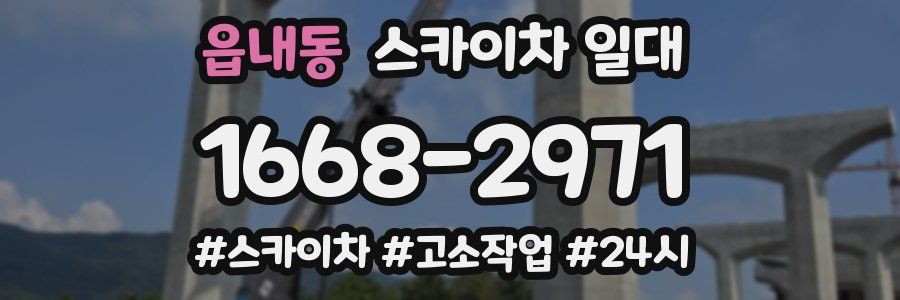 읍내동 스카이차 일대