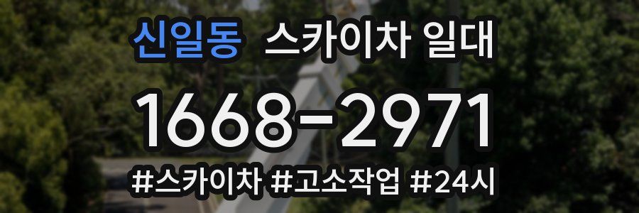 신일동 스카이차 일대