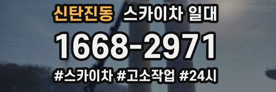 신탄진동 스카이차 일대