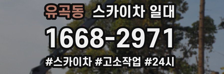 유곡동 스카이차 일대