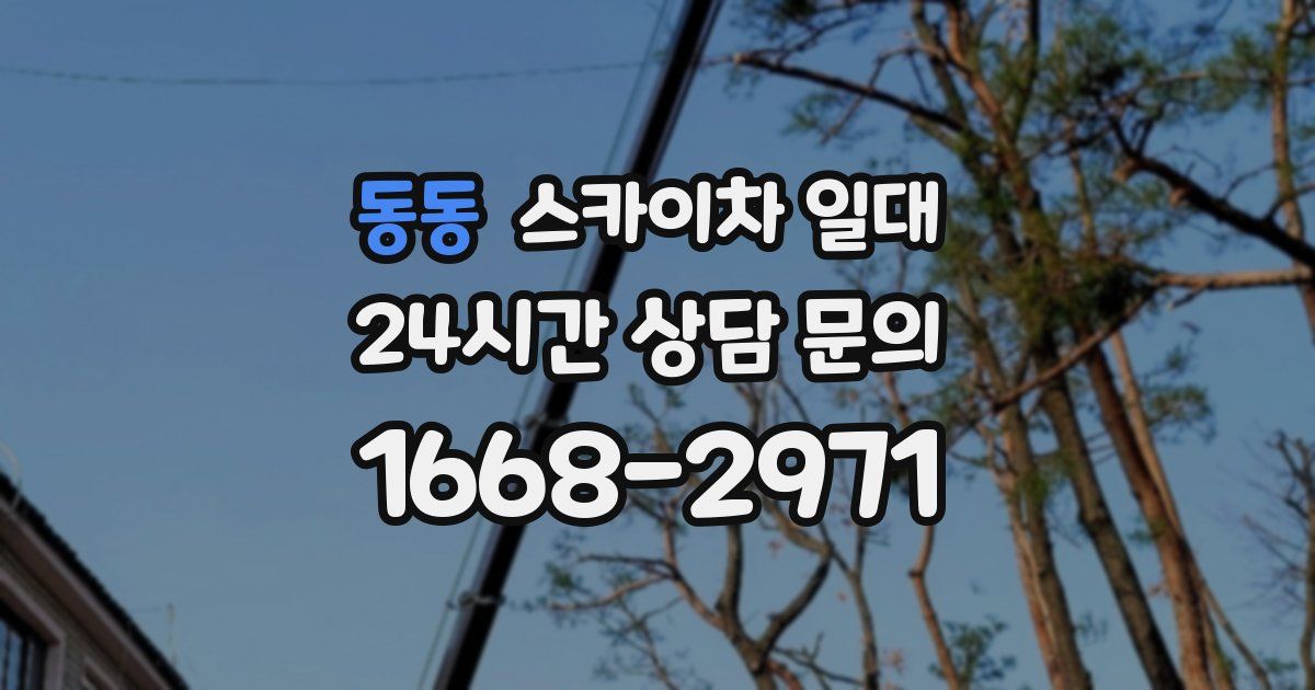 동동 스카이차 일대