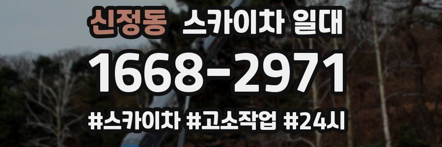 신정동 스카이차 일대