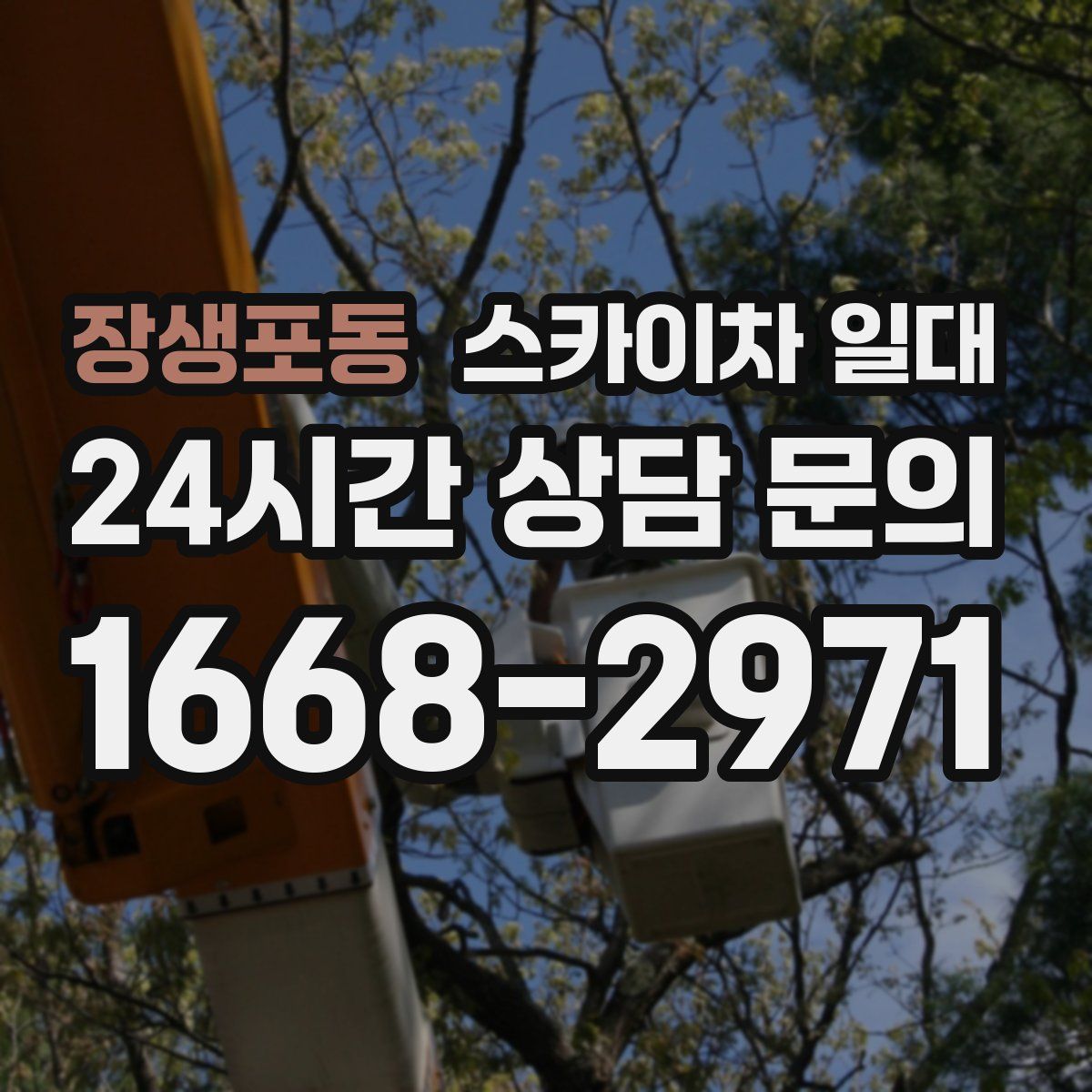장생포동 스카이차 일대