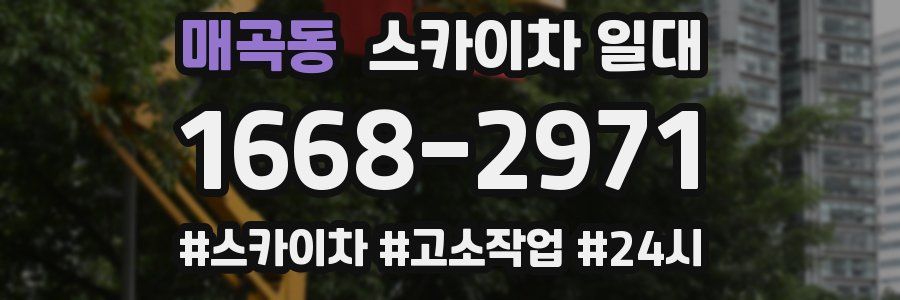 매곡동 스카이차 일대