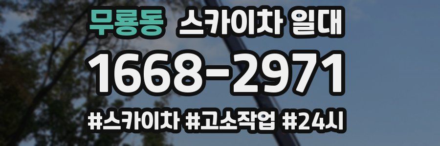 무룡동 스카이차 일대