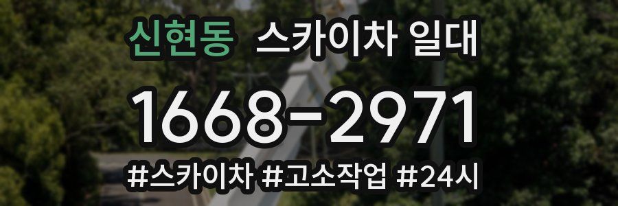 신현동 스카이차 일대