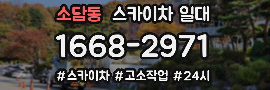 소담동 스카이차 일대