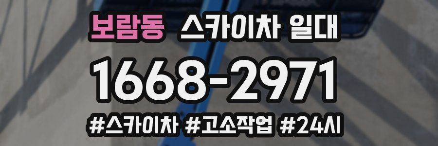 보람동 스카이차 일대