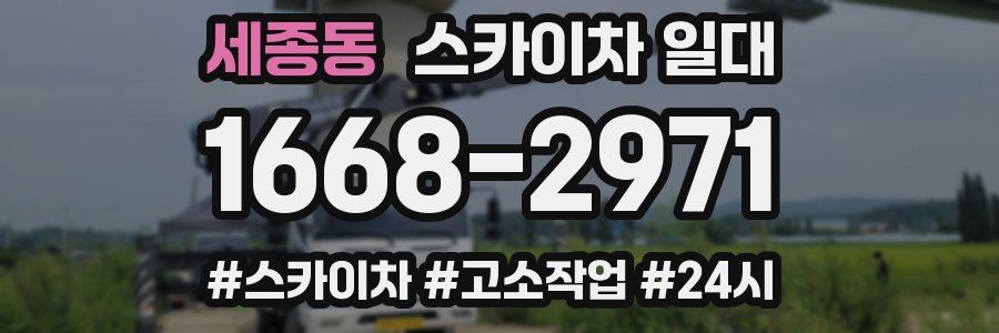 세종동 스카이차 일대