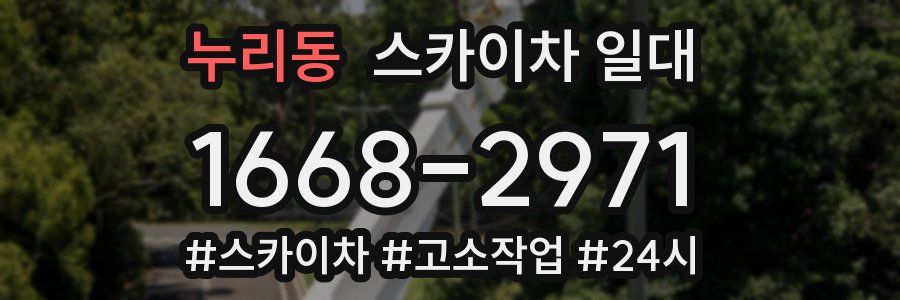 누리동 스카이차 일대