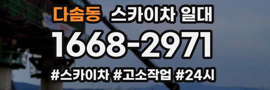 다솜동 스카이차 일대