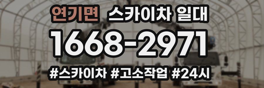 연기면 스카이차 일대
