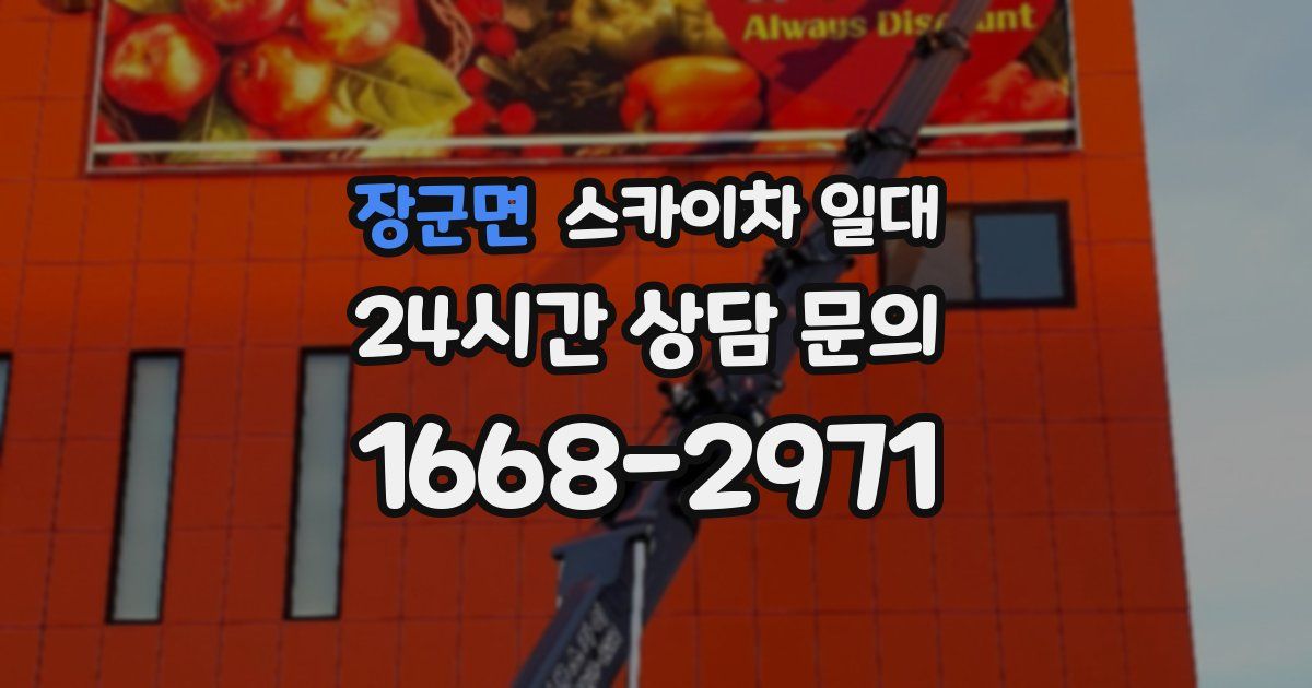 장군면 스카이차 일대