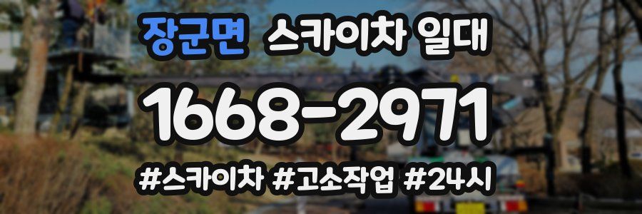 장군면 스카이차 일대