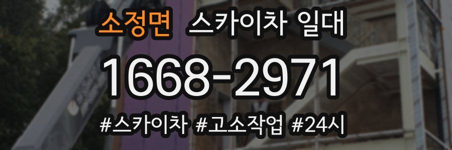 소정면 스카이차 일대