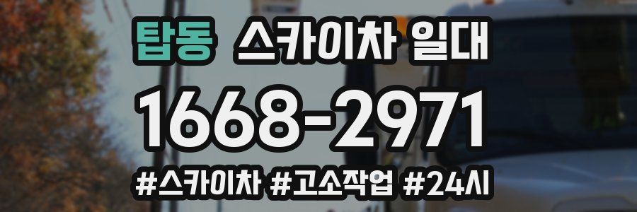 탑동 스카이차 일대