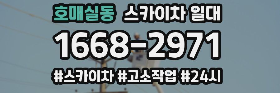 호매실동 스카이차 일대