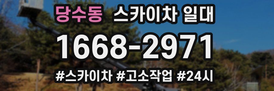 당수동 스카이차 일대