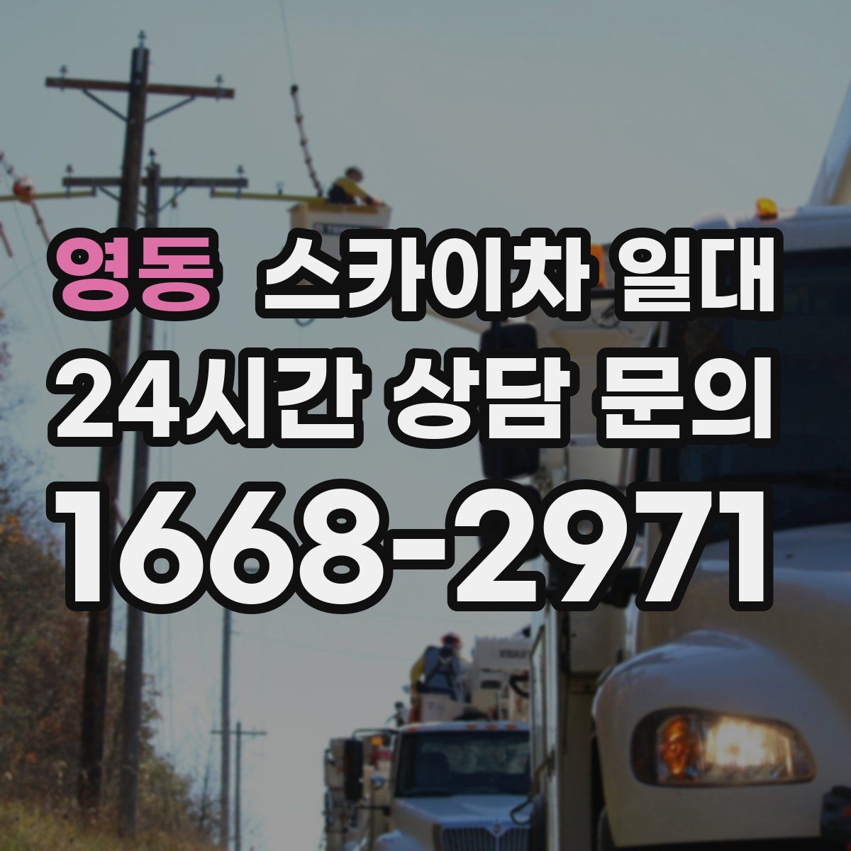 영동 스카이차 일대