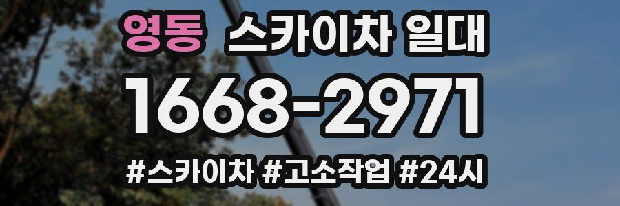 영동 스카이차 일대