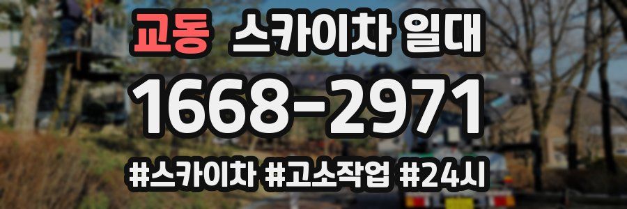 교동 스카이차 일대