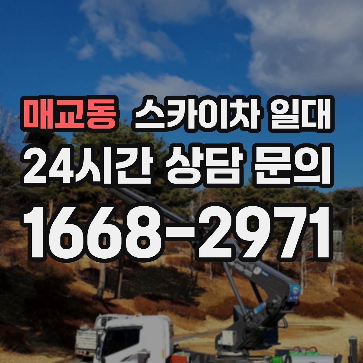 매교동 스카이차 일대