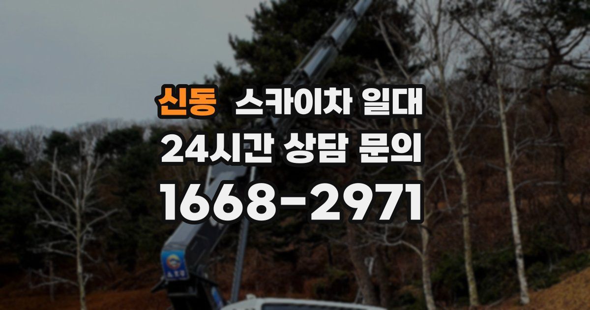 신동 스카이차 일대