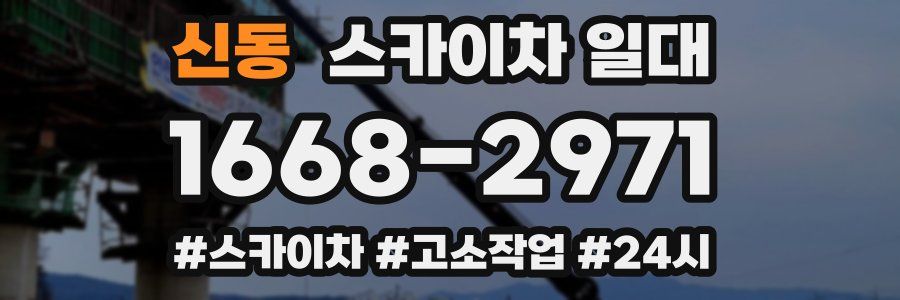 신동 스카이차 일대