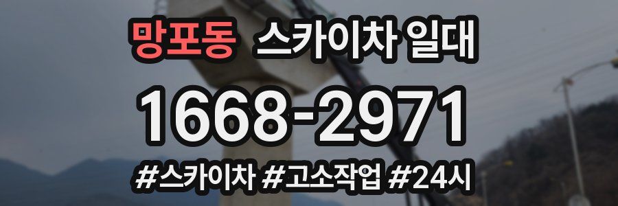 망포동 스카이차 일대