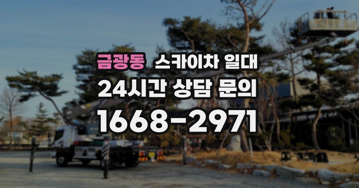 금광동 스카이차 일대