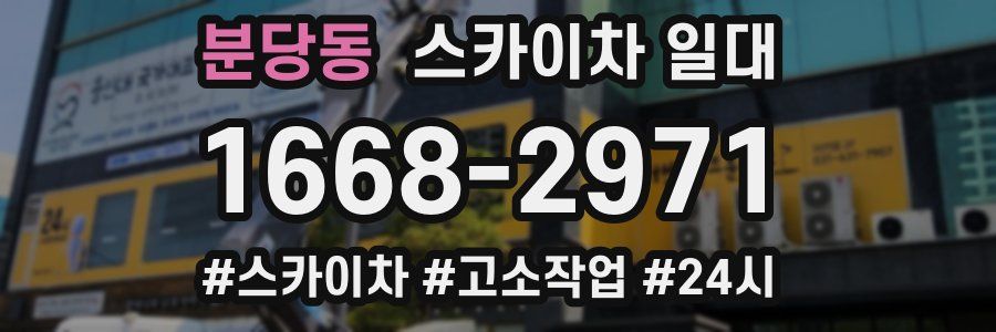 분당동 스카이차 일대