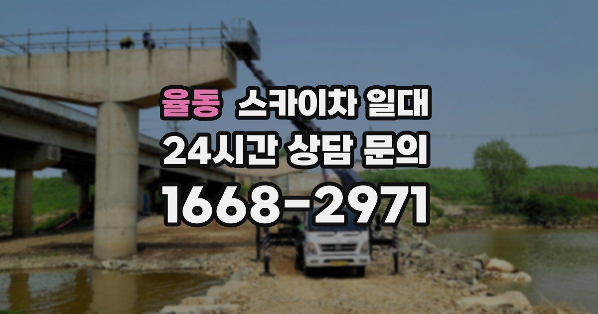 율동 스카이차 일대