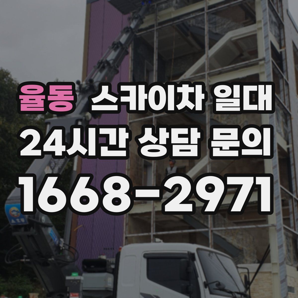 율동 스카이차 일대