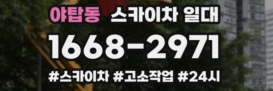 야탑동 스카이차 일대