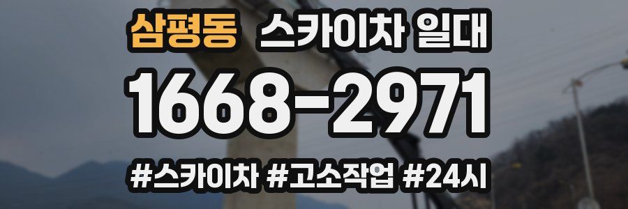 삼평동 스카이차 일대