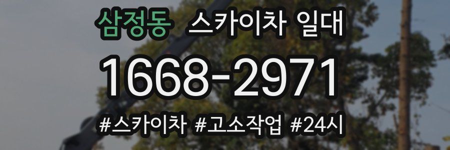 삼정동 스카이차 일대