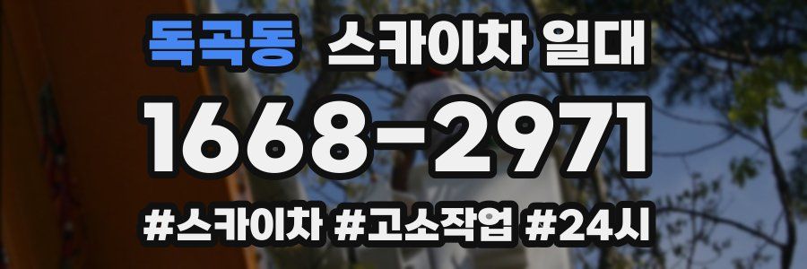 독곡동 스카이차 일대