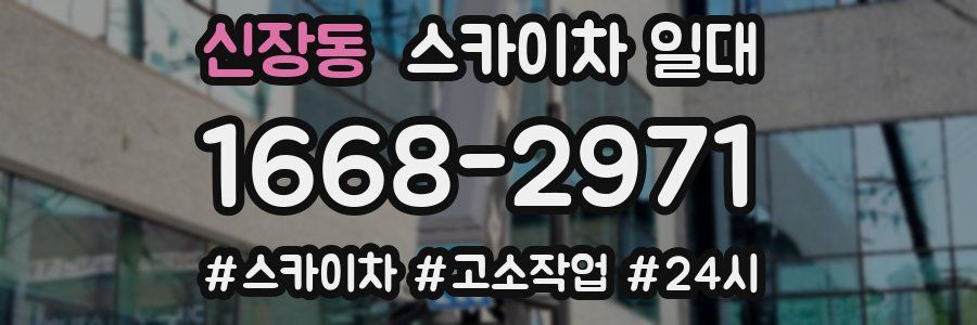 신장동 스카이차 일대