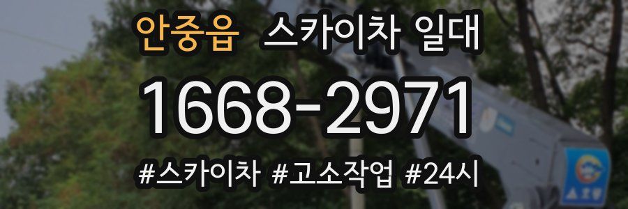 안중읍 스카이차 일대