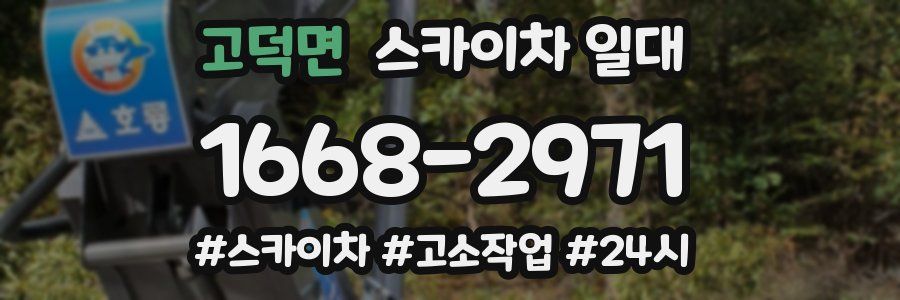 고덕면 스카이차 일대