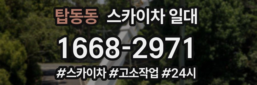 탑동동 스카이차 일대